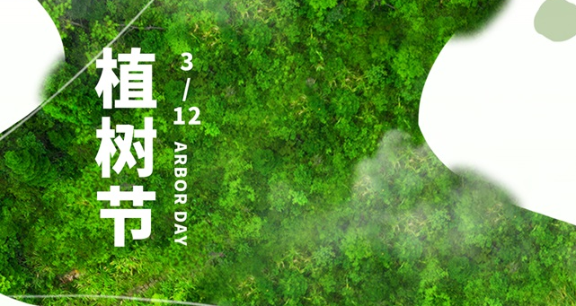 植树节，种下一抹绿，收获新希望